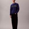 Sudadera clásica de felpa a rayas Sudadera clásica de felpa a rayas