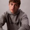 Sudadera con capucha de felpa con logotipo estándar Sudadera con capucha de felpa con logotipo estándar
