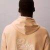 Sudadera con capucha de felpa premium con gráfico del logotipo de Matchbox Sudadera con capucha de felpa premium con gráfico del logotipo de Matchbox