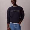 Sudadera de felpa con gráfico del logotipo Varsity Sudadera de felpa con gráfico del logotipo Varsity