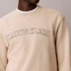 Sudadera de felpa con gráfico del logotipo Varsity Sudadera de felpa con gráfico del logotipo Varsity