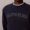 Sudadera de felpa con gráfico del logotipo Varsity Sudadera de felpa con gráfico del logotipo Varsity